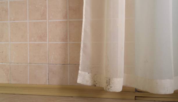Best Mold Odor Removal Services  in Morn, GA