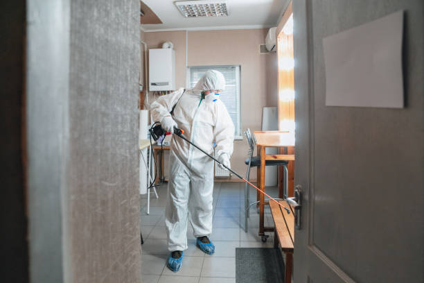 Environmental Consulting for Mold Prevention in Morgan, GA