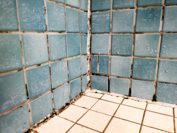 Best Residential Mold Inspection & Testing  in Morn, GA