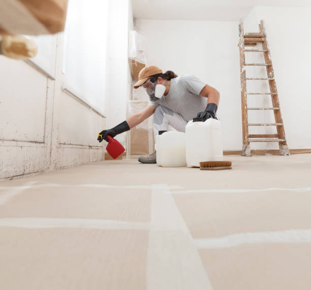Mold Remediation for Rental Properties in Morgan, GA
